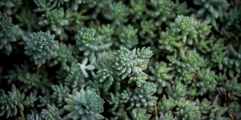BI分析的正确打开方式